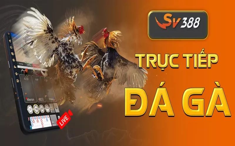 Lợi Ích Khi Tham Gia Đá Gà Trực Tuyến Tại SV388